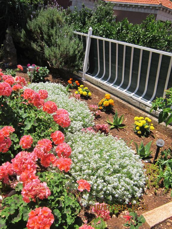 Guesthouse Korkyra Sun Korčula Zewnętrze zdjęcie